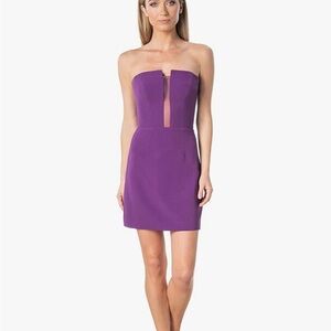 Dress the Population Purple Strapless Mini Dress